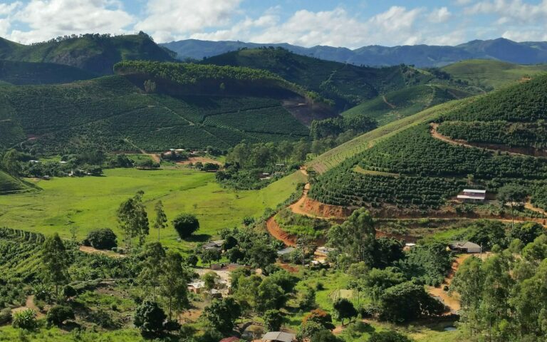 Kaffee aus Brasilien: Die Magie in jeder Tasse